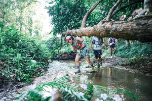 BIB: 
                            <button type="button" onclick="openModal(25442016)" class="btn btn-primary btn-sm float-right btn-popup" data-toggle="modal" data-target=".modal-high-quality">
                        <i class="fas fa-shopping-cart"></i> Add to Cart
                    </button>
                                            <button type="button" onclick="isThisMe(25442016, true)" class="btn btn-success btn-sm float-right btn-popup btn-isme hidden" data-toggle="tooltip" data-placement="bottom" title="นี่คือรูปของคุณใช่ไหม คลิกที่นี่เพื่อเอาเข้าอัลบั้ม">
                        <i class="fas fa-plus"></i> Add to album
                    </button>
                    <button type="button" onclick="isThisMe(25442016, false)" class="btn btn-warning btn-sm float-right btn-popup btn-isnotme hidden">
                        <i class="fas fa-ban"></i> Remove from album
                    </button>